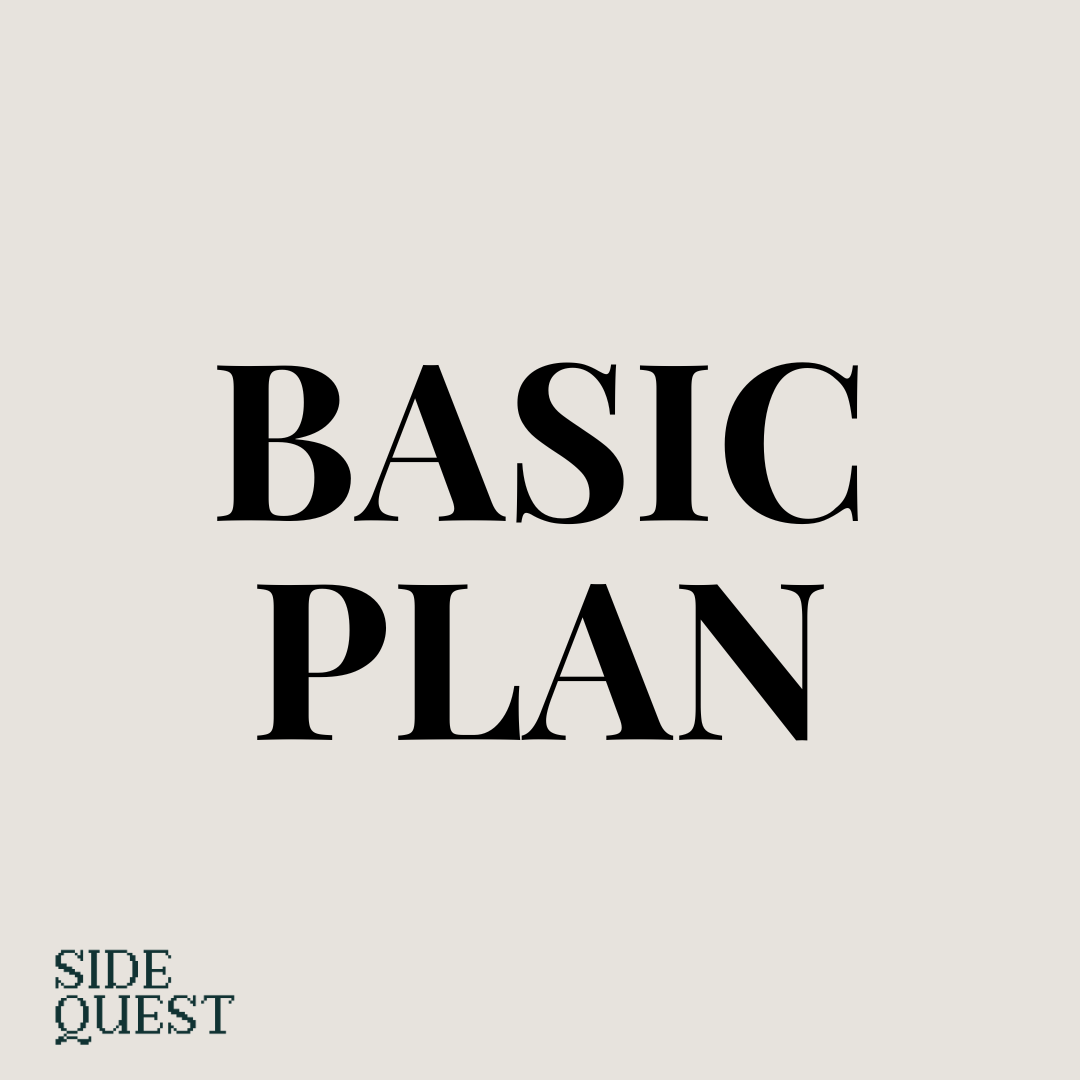 Basic Plan